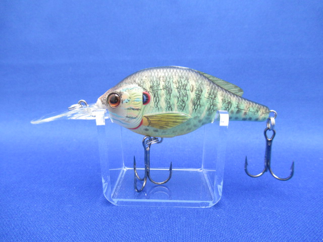 PumpkinSeed1/2oz(5’-6’)