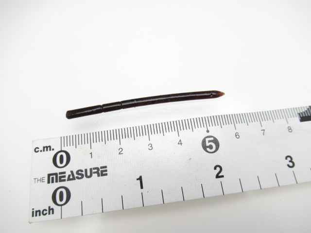 AnoStraight 2.5”