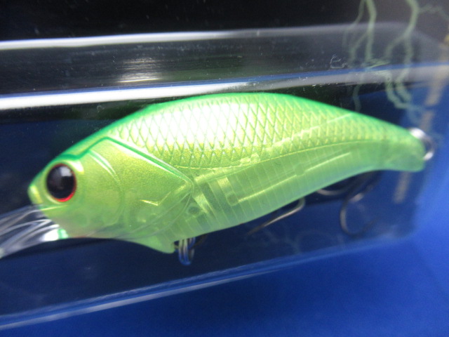 EVOKE SHAD